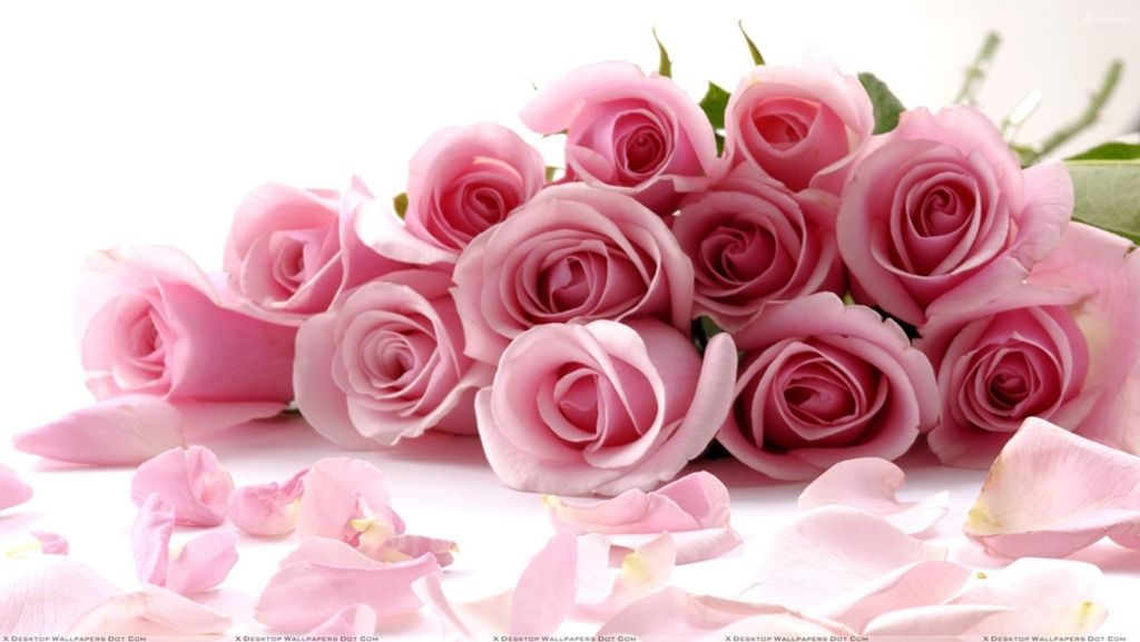 Odessa Ditchfield Profile Photo