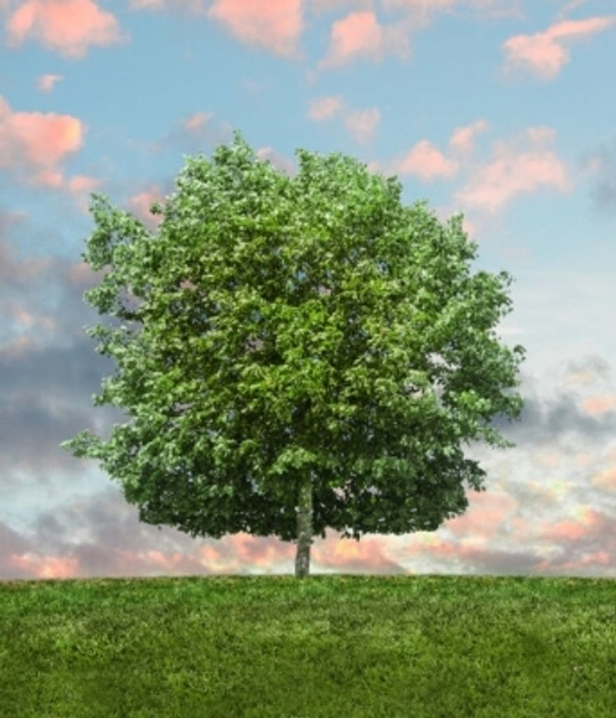 Jeffrey Lawayne Griffis