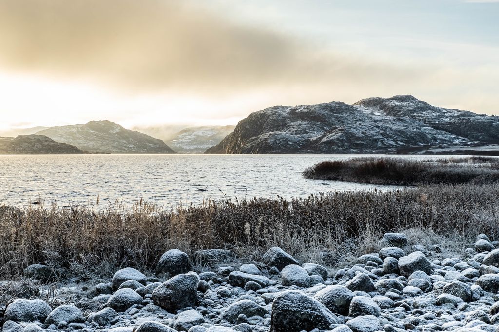 Ann Koffman Morison Profile Photo