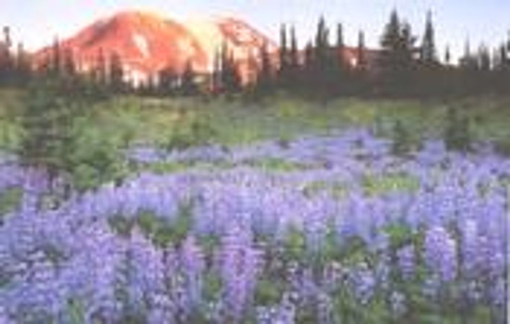 Lawrence Mitchell, Jr Profile Photo