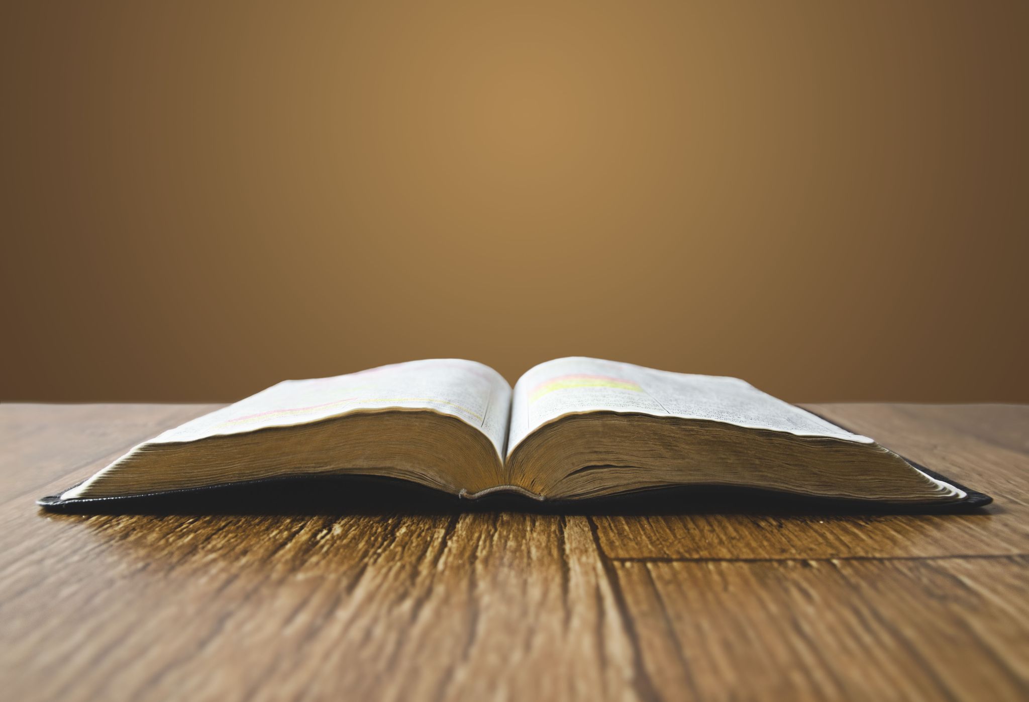 Cover photo for Martha Lee Carlisle's Obituary
