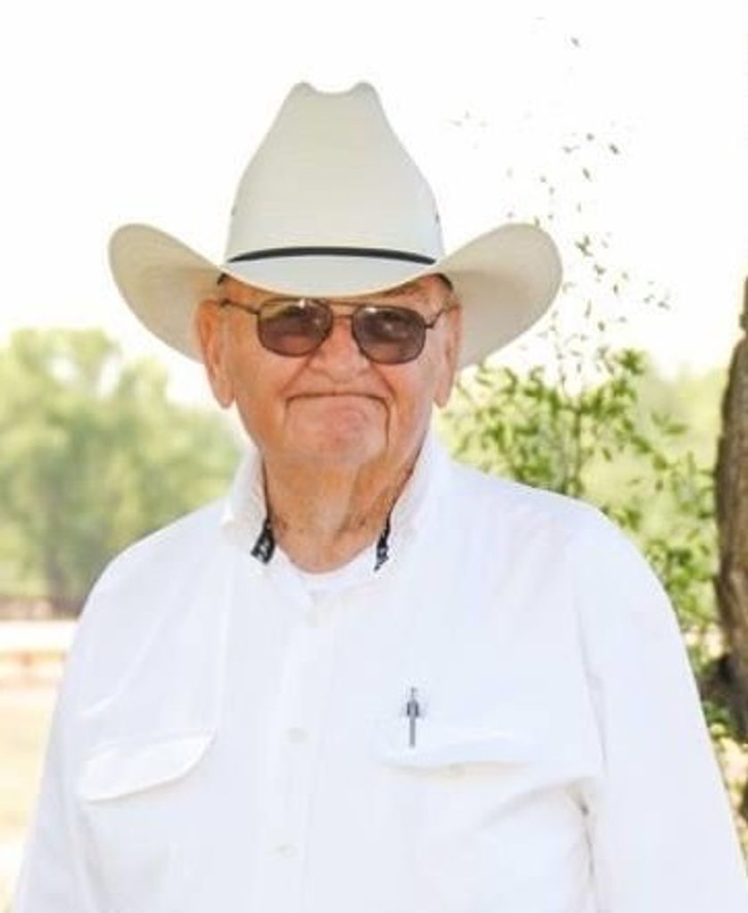 Shelton Dallas
