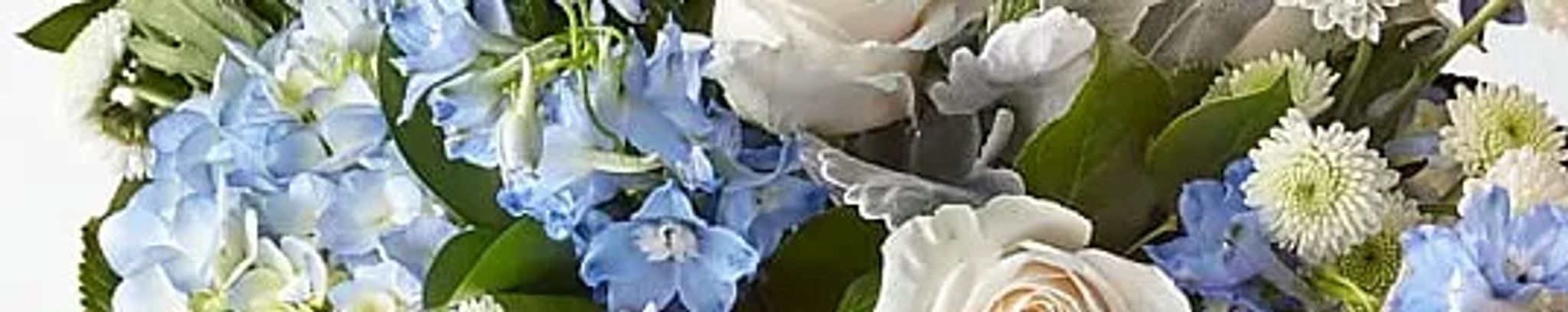 Cover for Julia C. Bruce's Obituary