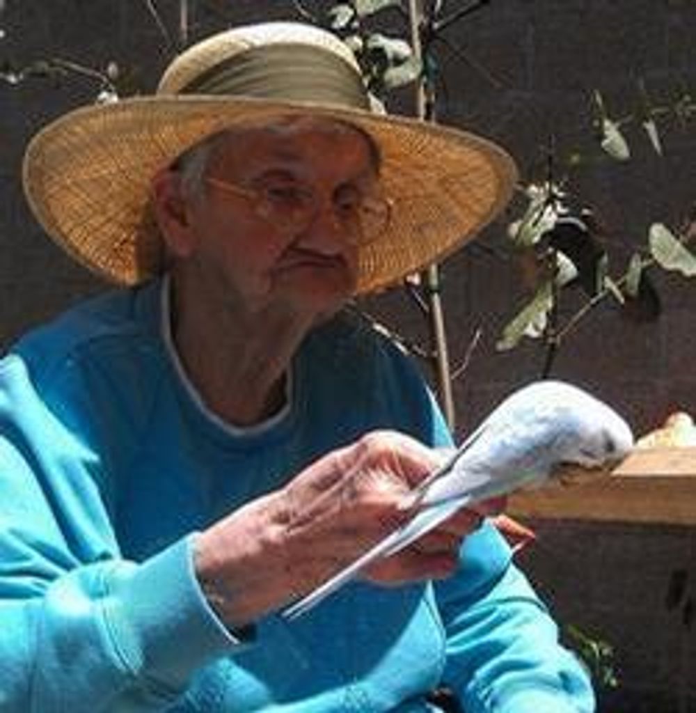 Mildred Elaine Lee Ferguson