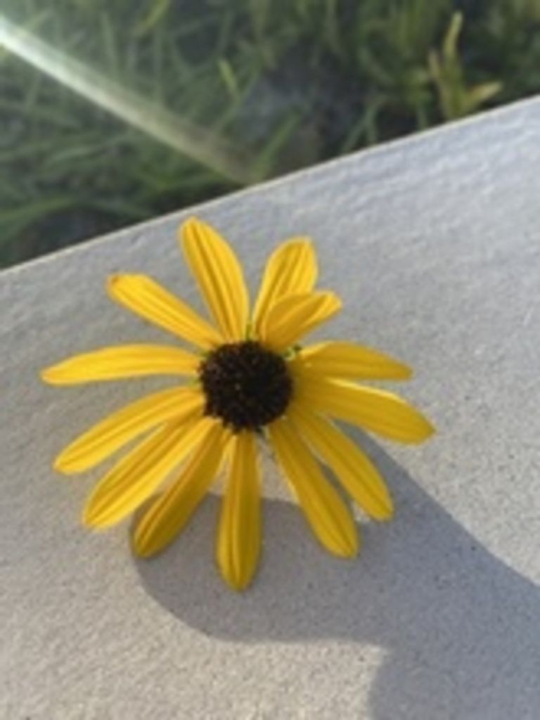 Cheryl A Benson Profile Photo