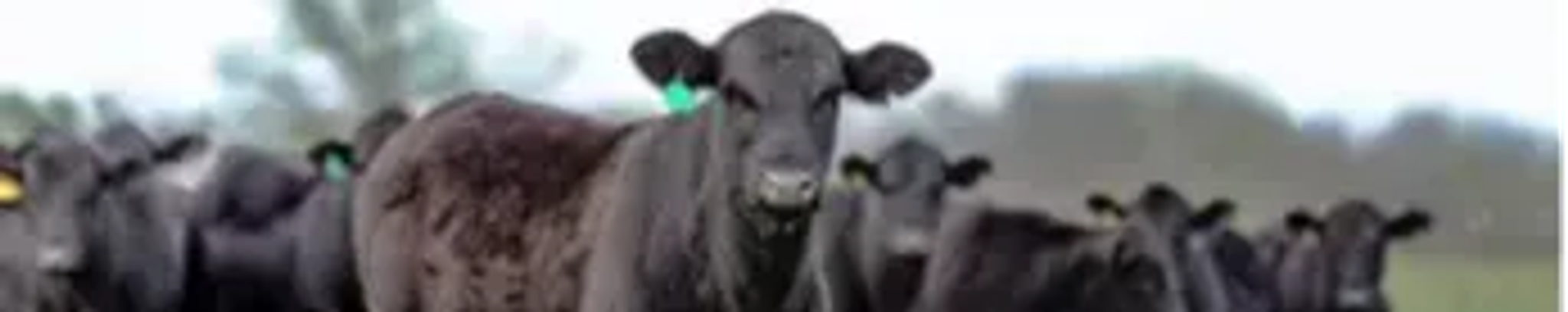 Cover for Stanley "Vernon" Yager's Obituary