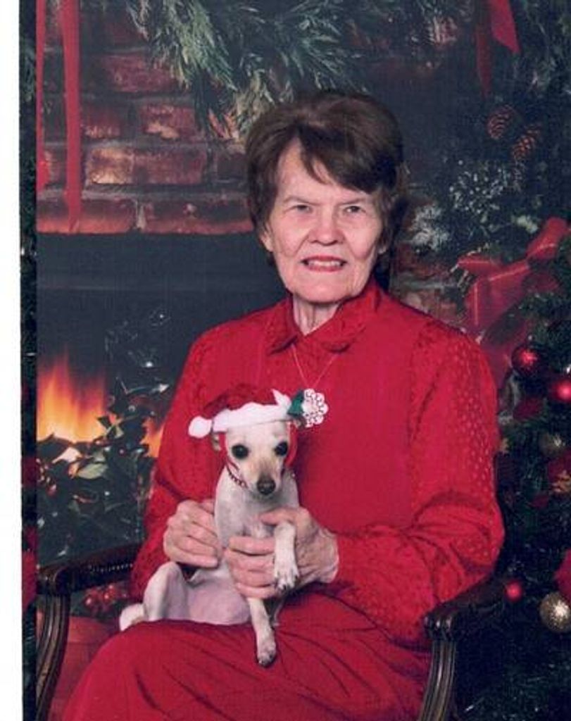 Beverly Hall Hays Profile Photo
