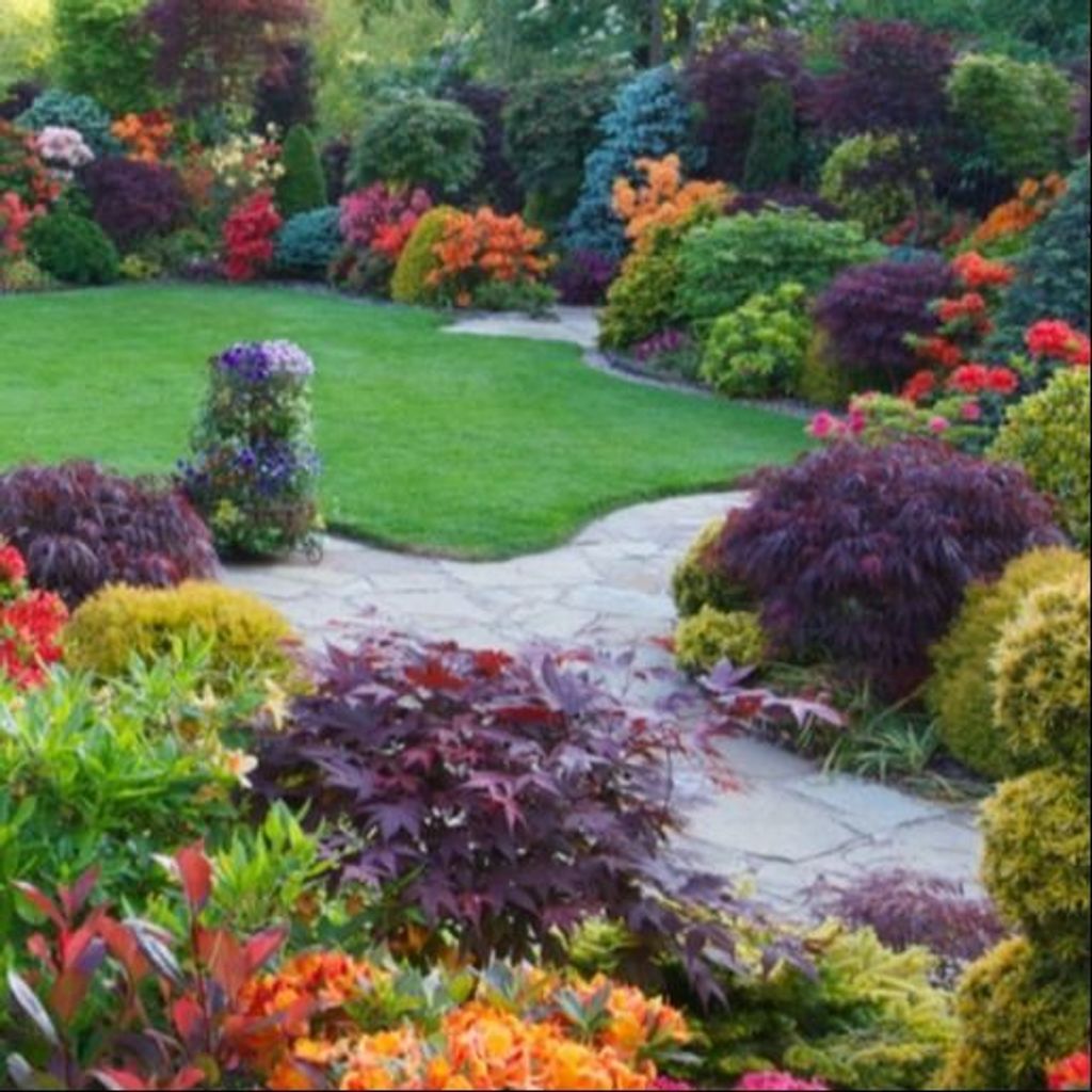 Sallie Ann Faust Profile Photo