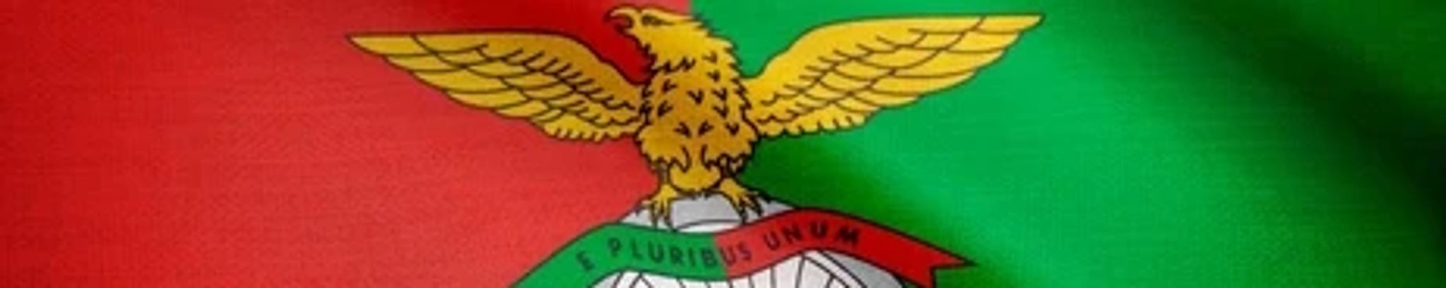 Cover for Maria De Lurdes Tavares's Obituary