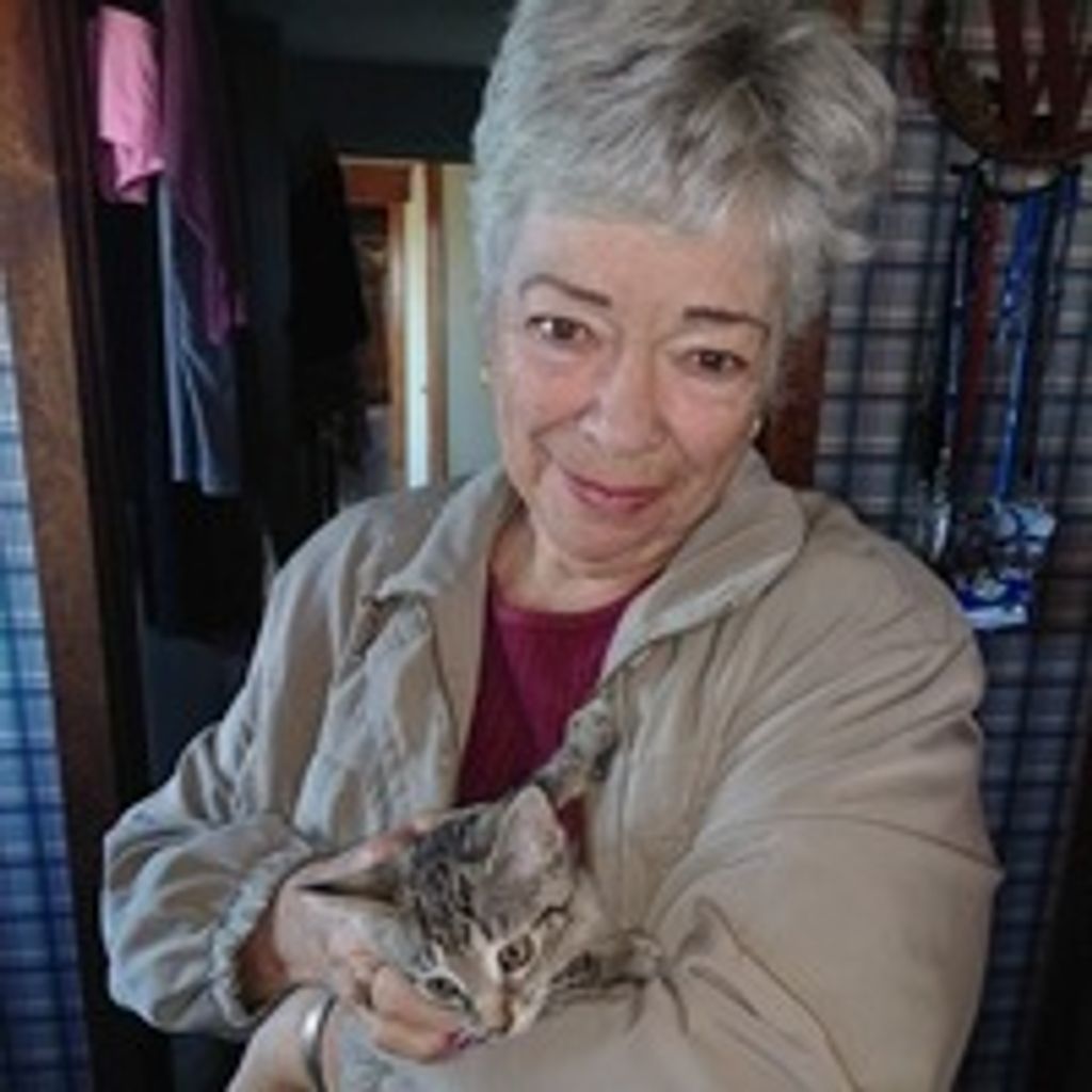 Phyllis Ann Webster Profile Photo