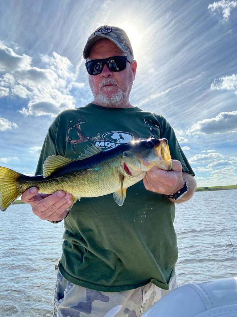 Jerry Damon Williams Profile Photo