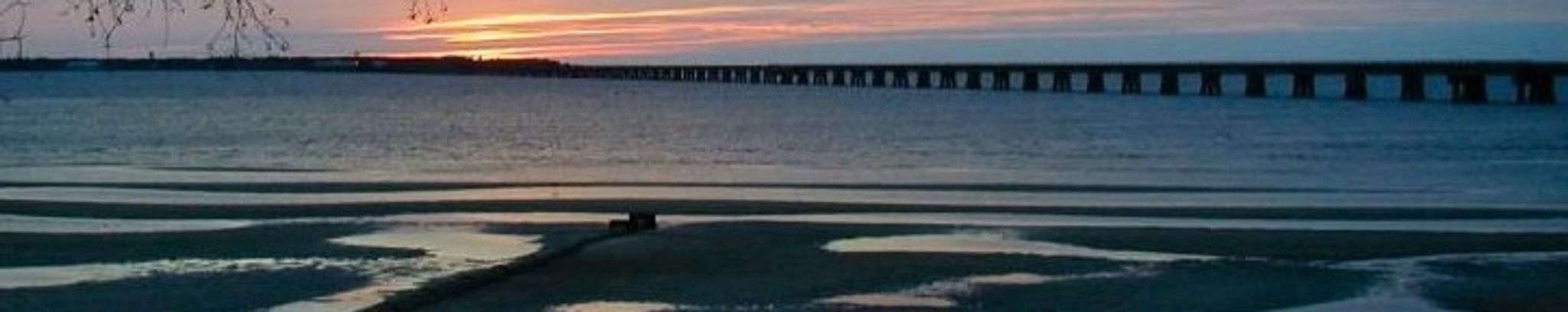 Cover for Kathy Nichols's Obituary