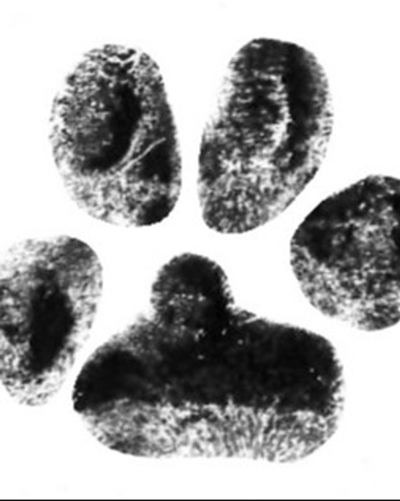 Bella Watts Profile Photo