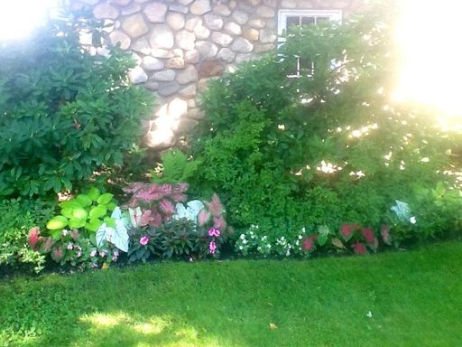 Sandra L. Stowers photo gallery thumbnail 65 of 100
