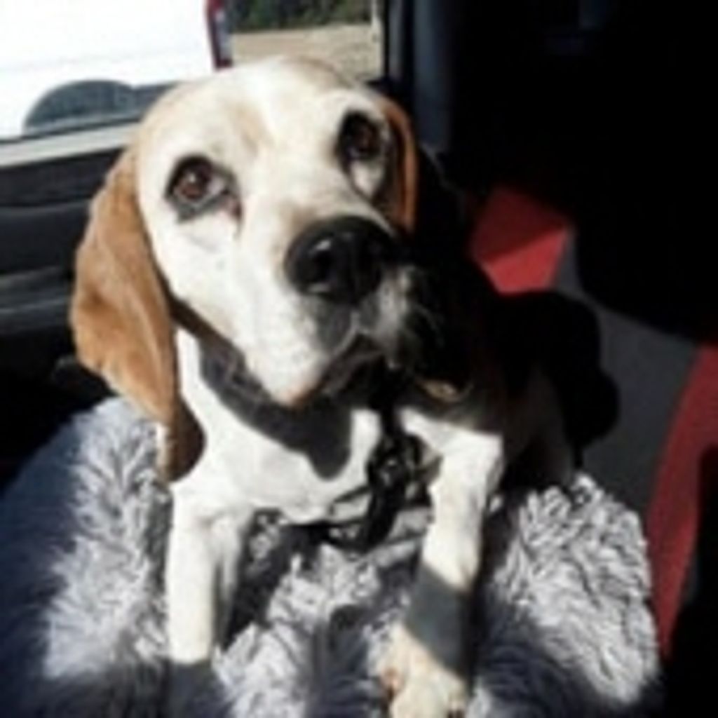 Sadie Mae Walters