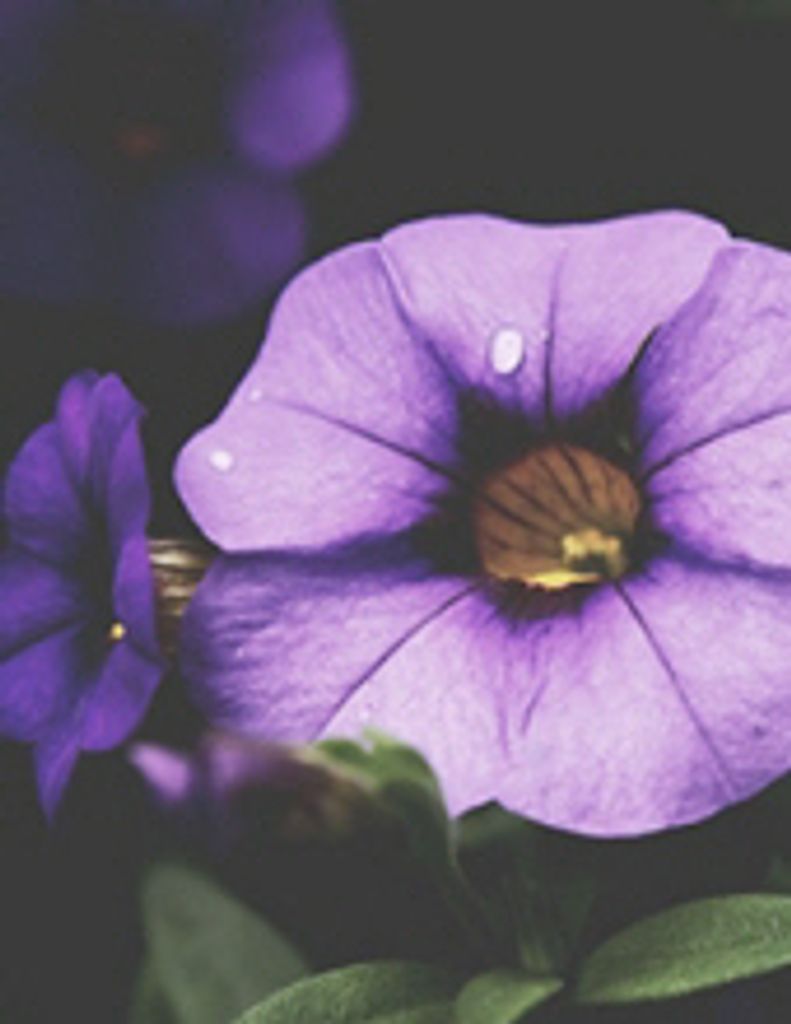 Rita M. Mazurek Profile Photo