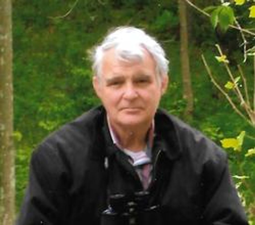 Dale Wolfe