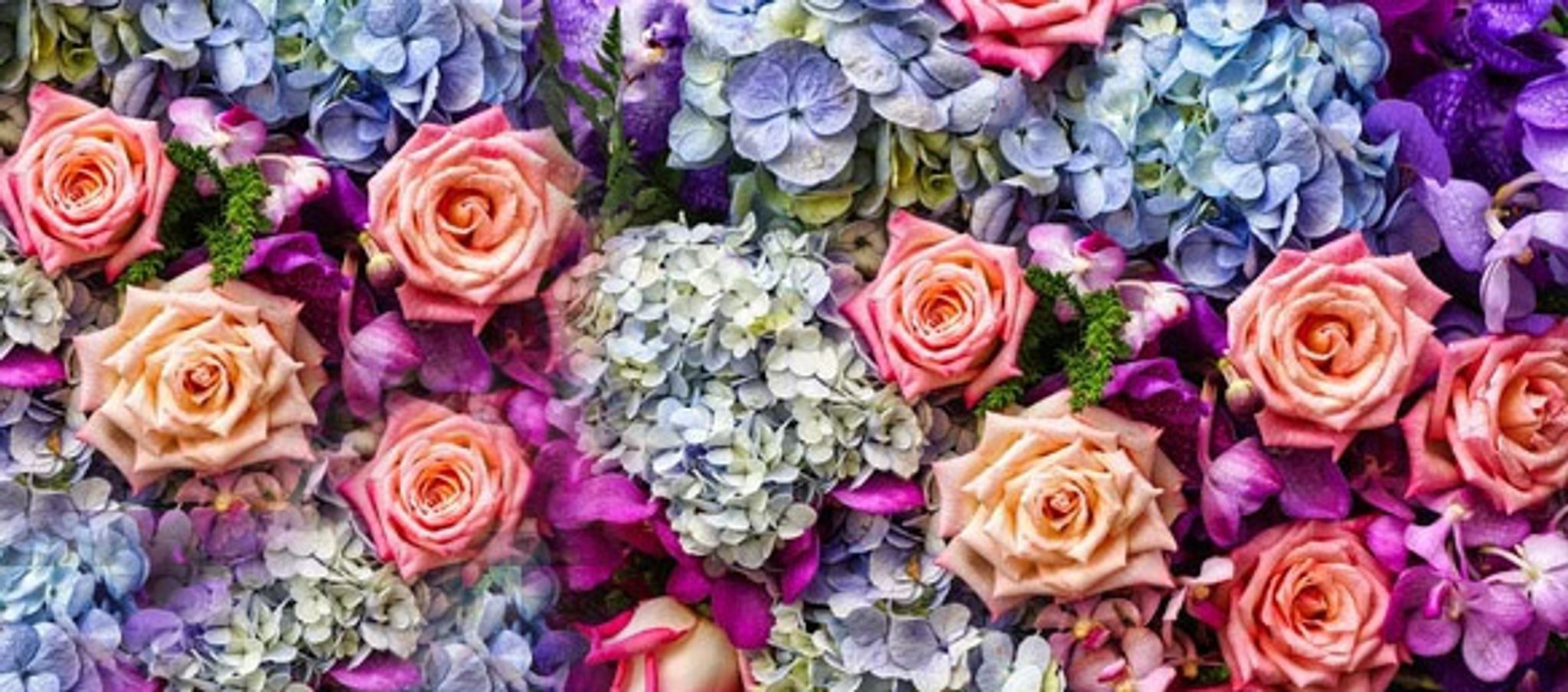 Cover photo for Mary "Mandy" Trahan's Obituary