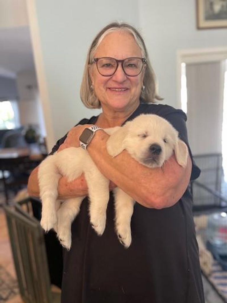 Terri Fulk Brodrick Profile Photo