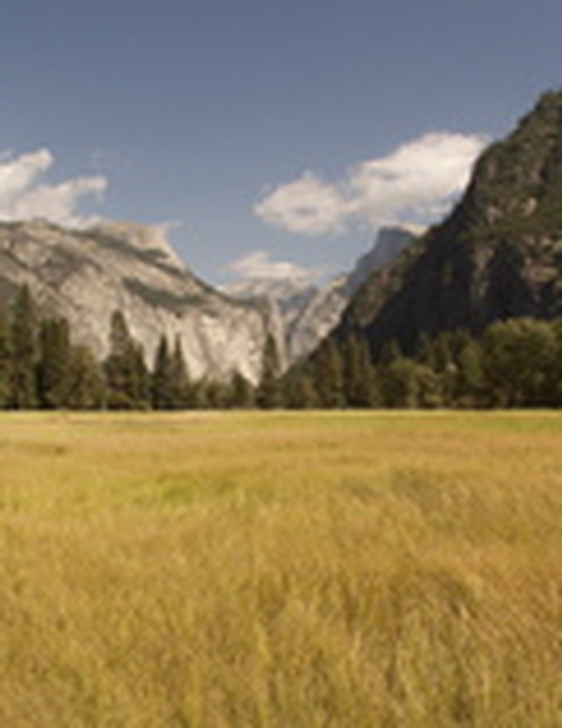 Robert  Golden Norris