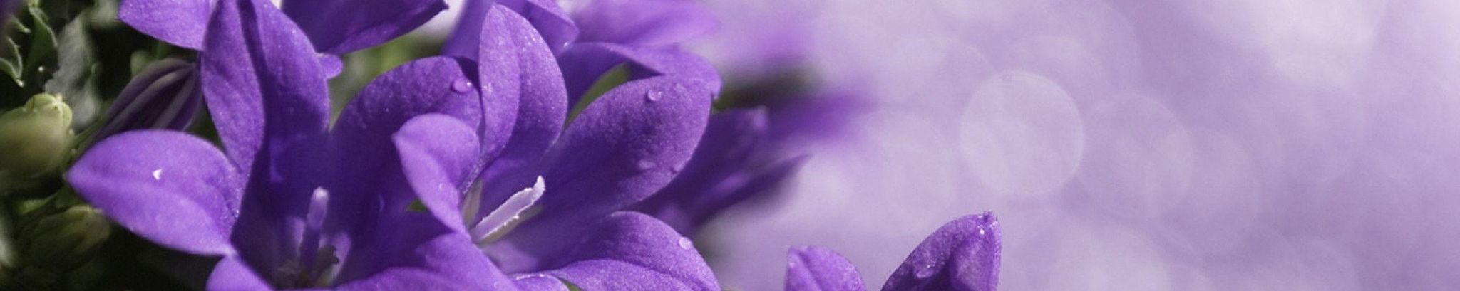 Cover photo for Destiny Starr McLemore Stanley's Obituary
