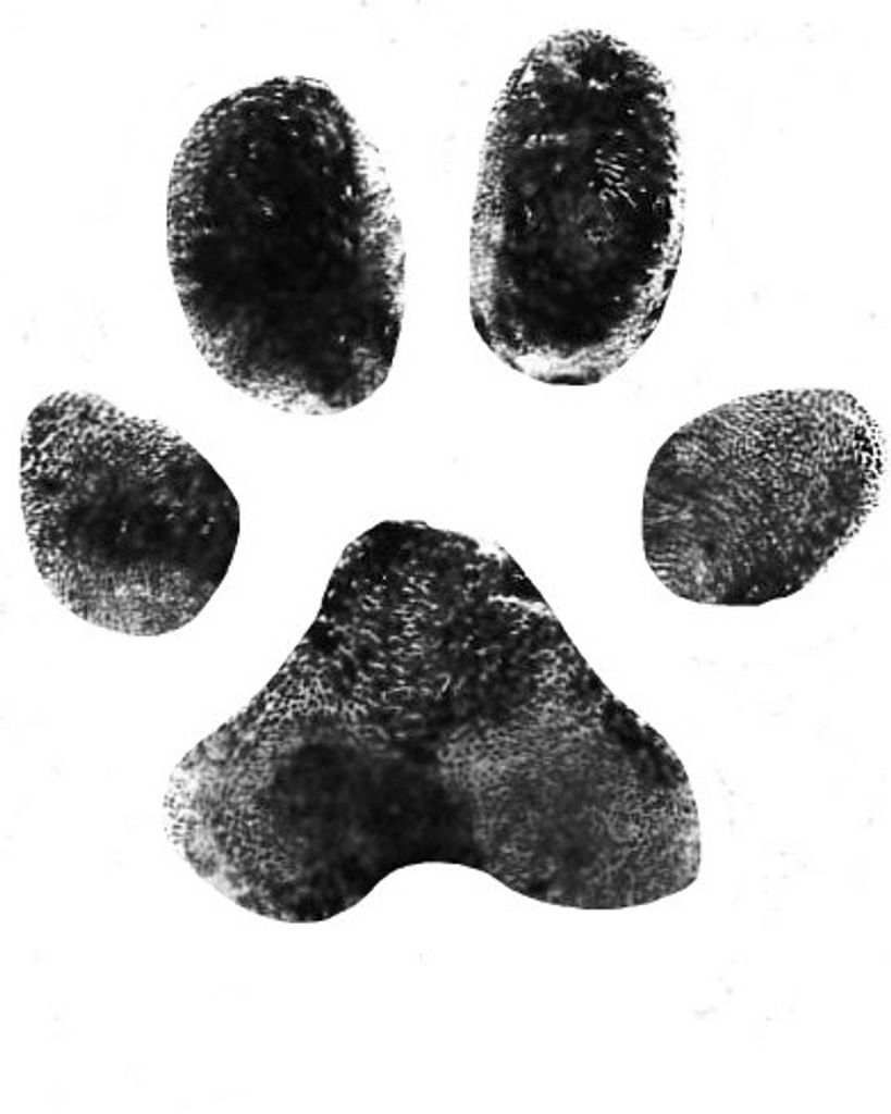 Hurley Jolly Profile Photo