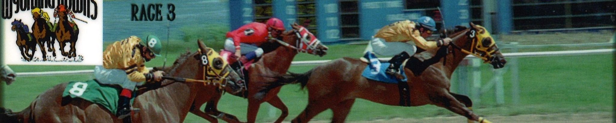 Cover for DeWayne "Pink" Chivers's Obituary