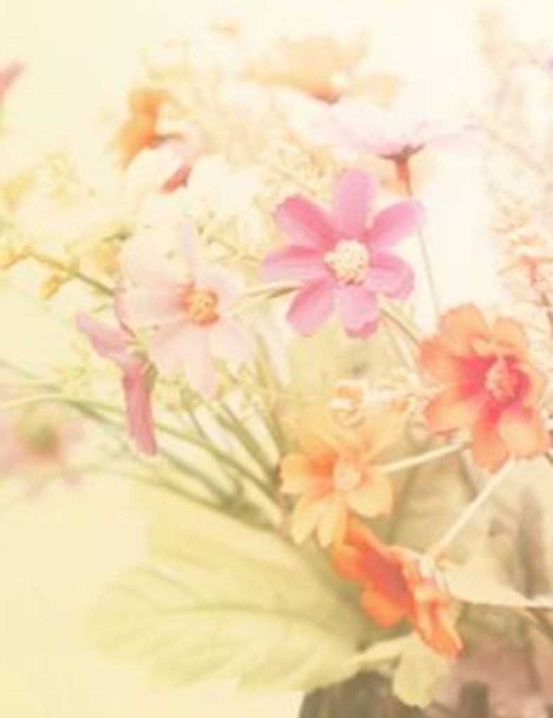 Katherine L. Kritchard Profile Photo