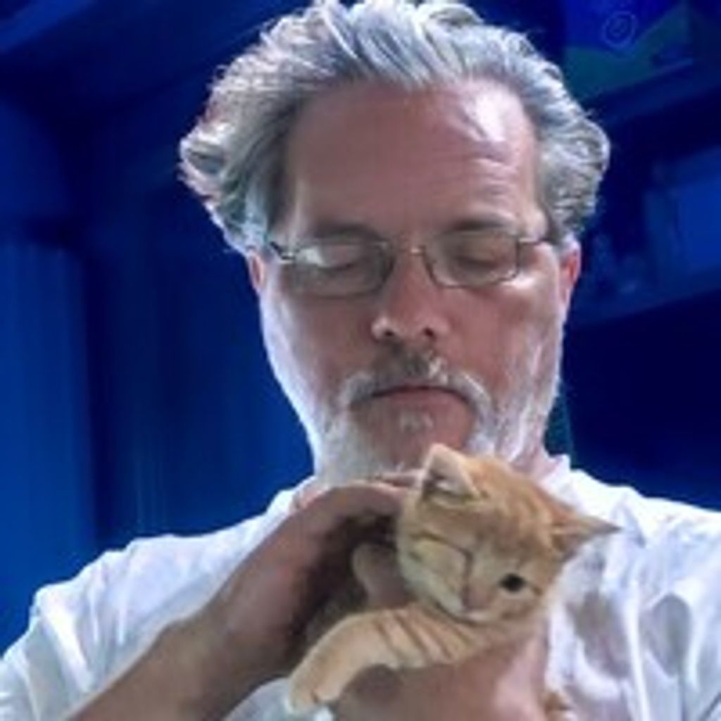 Christopher A. Willson