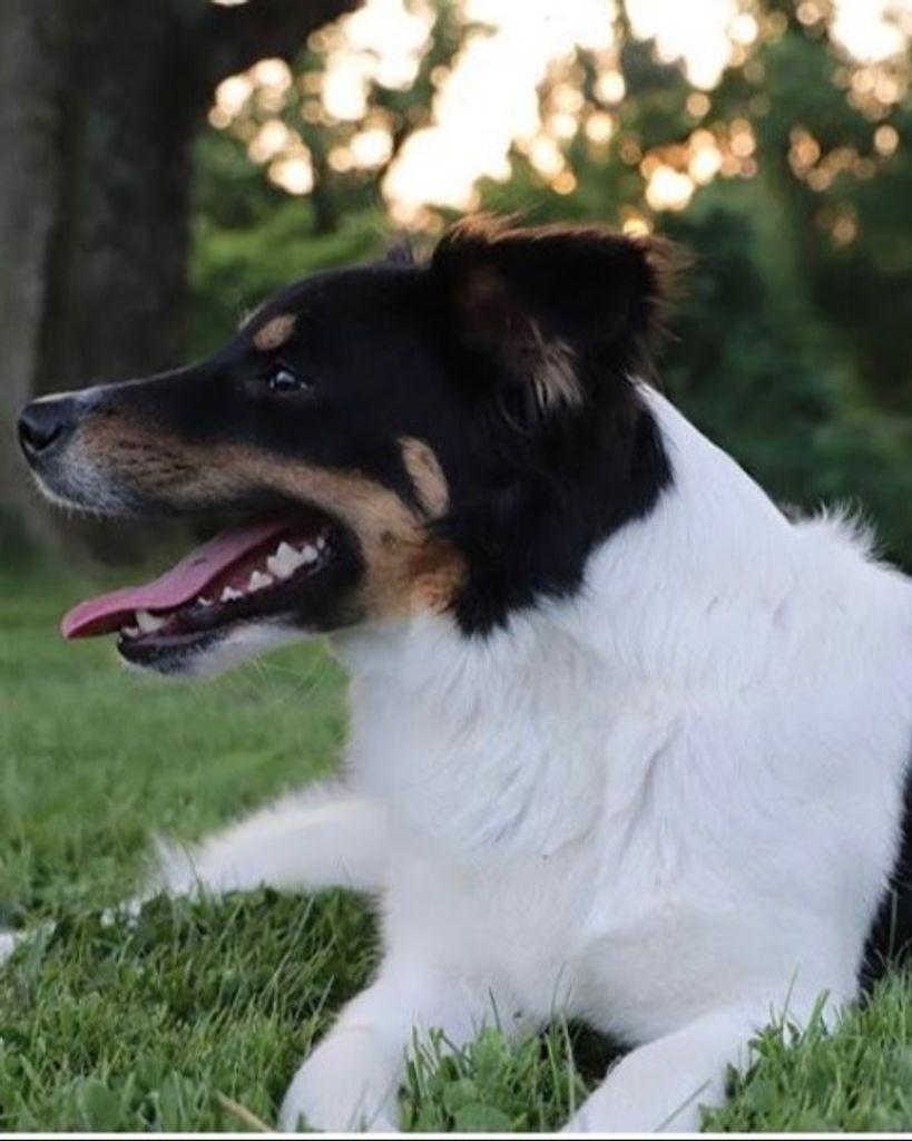 Coney Yelton Profile Photo