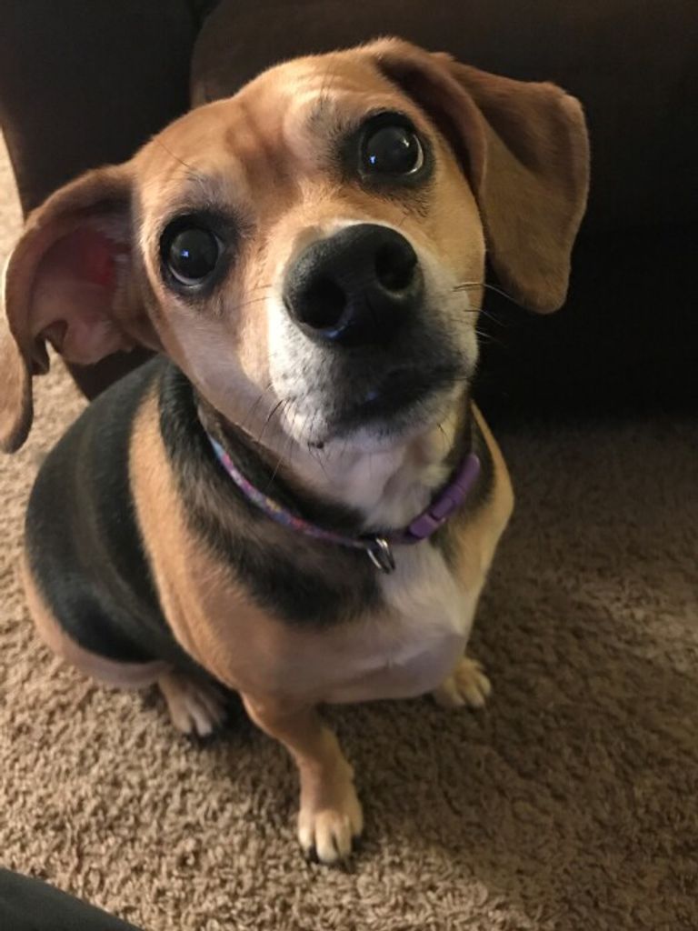 Gracie May Weatherington Profile Photo
