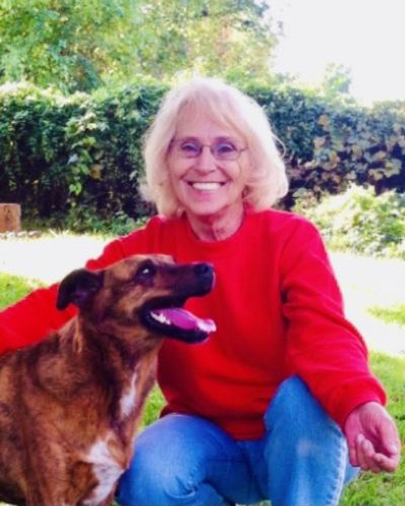 Sandi Smith Profile Photo