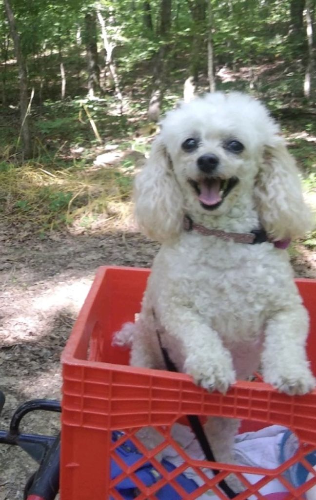 Cinna  Page Profile Photo