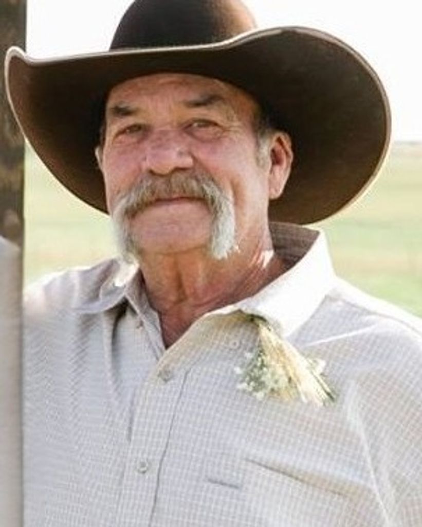 David Wayne Williams Profile Photo
