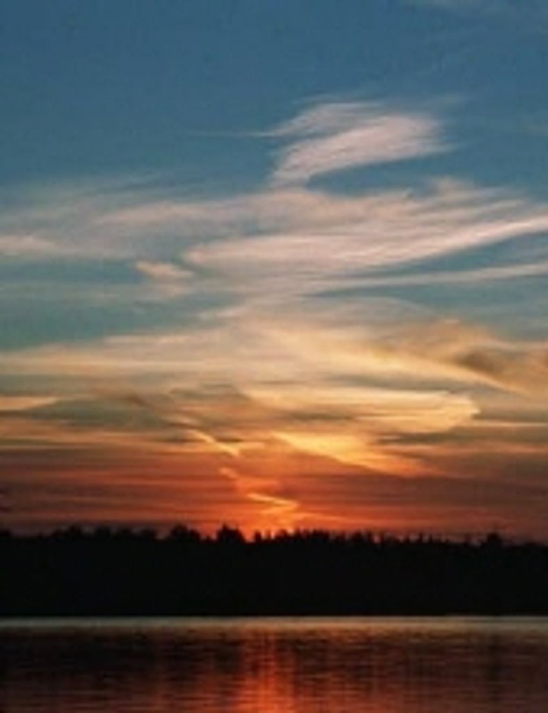 Virginia A. Gruenwald