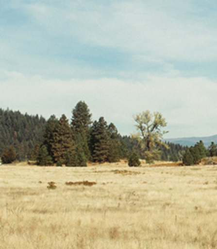 Paul Edward Hackett Profile Photo