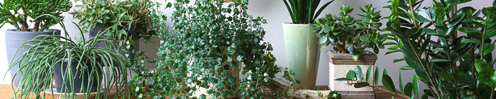 Cover for Michelle Lee Gardner's Obituary