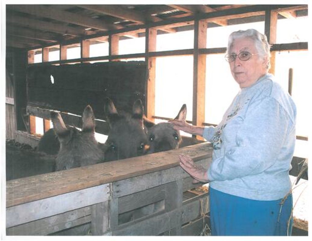 Margaret Sherman Profile Photo
