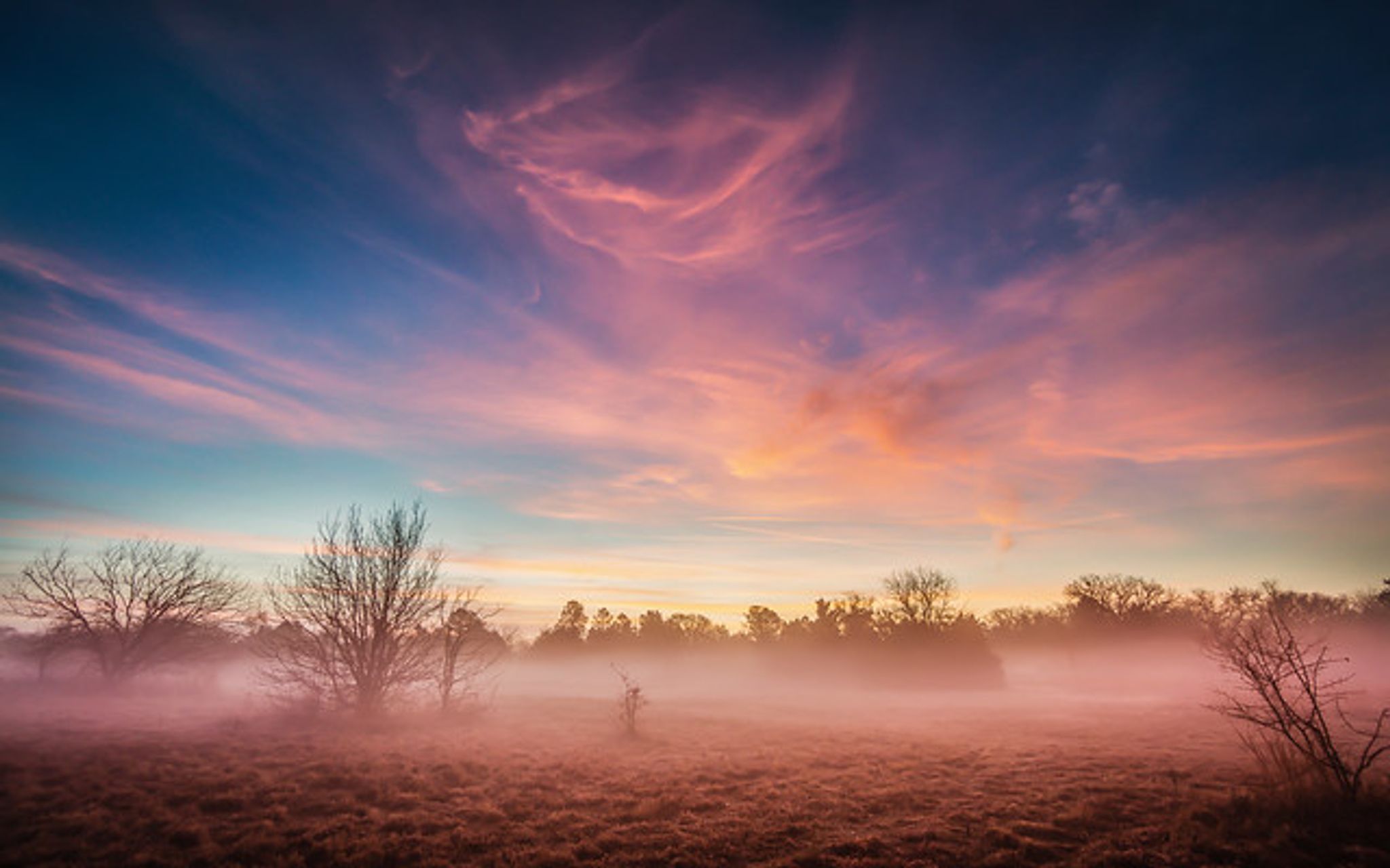 Cover for Hisayoshi Muramatsu's Obituary