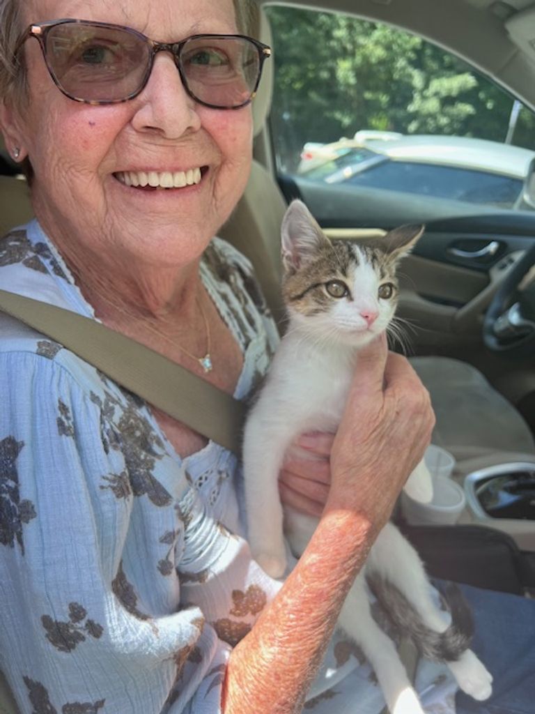 Linda Sue Creswell Rogers Profile Photo