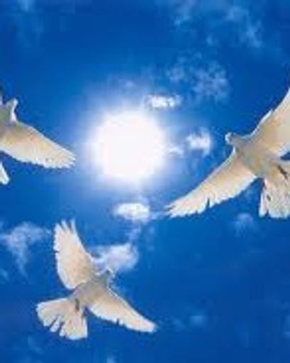 Johny D. Reed 83's obituary image