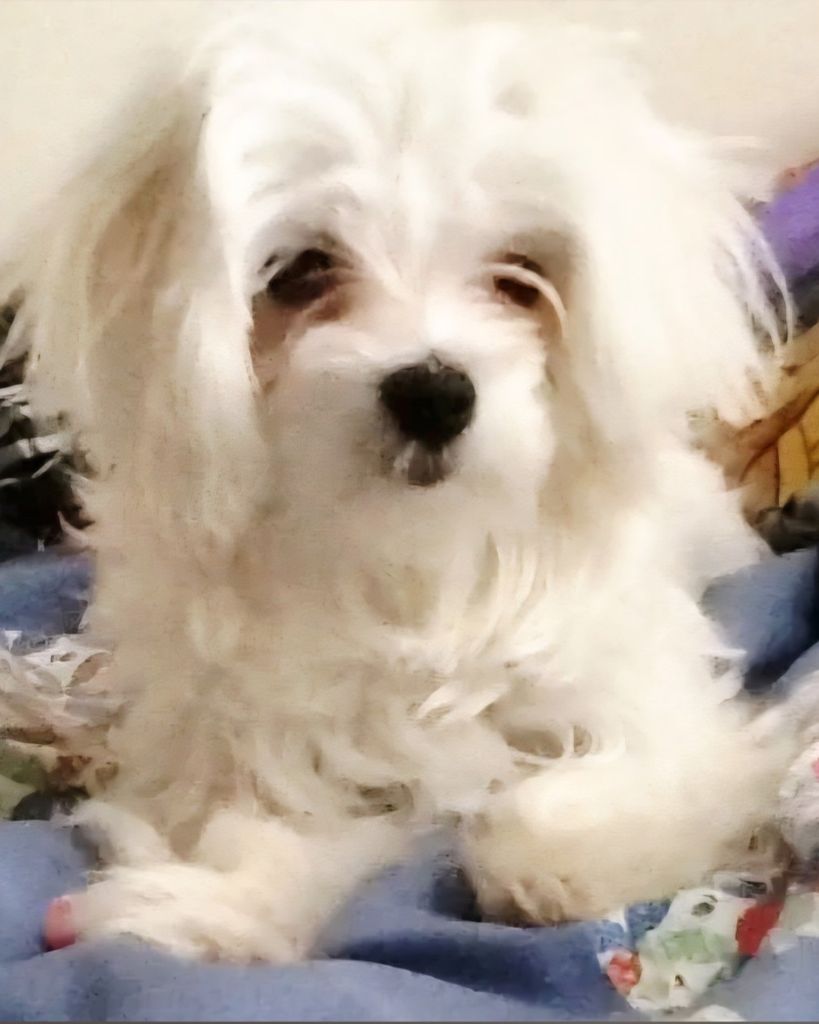 Macy Profile Photo