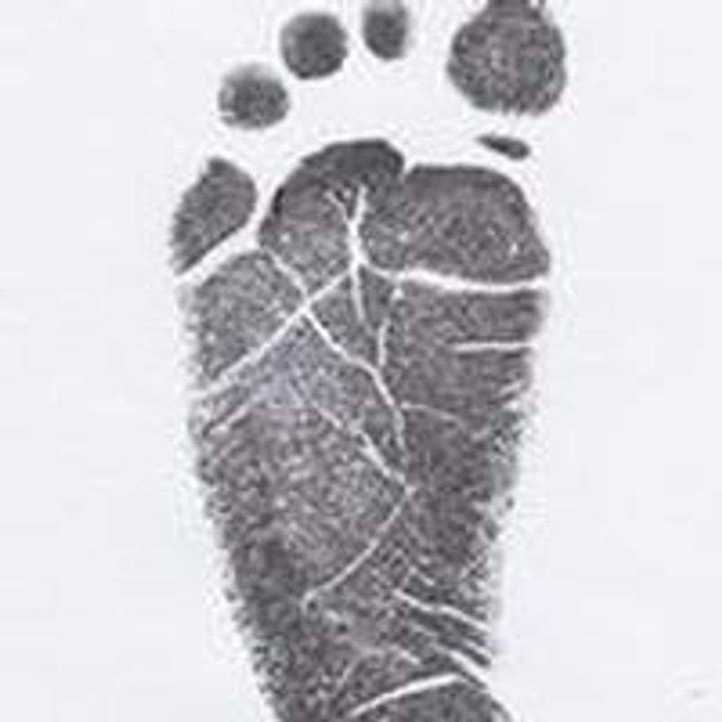 Grhamm Eli Fox Profile Photo