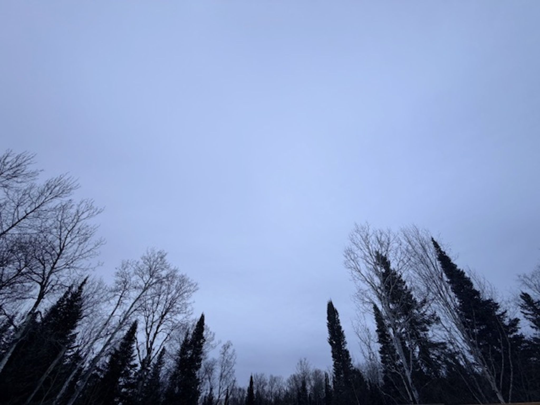 Cover for Heather Elizabeth Ann Weese's Obituary