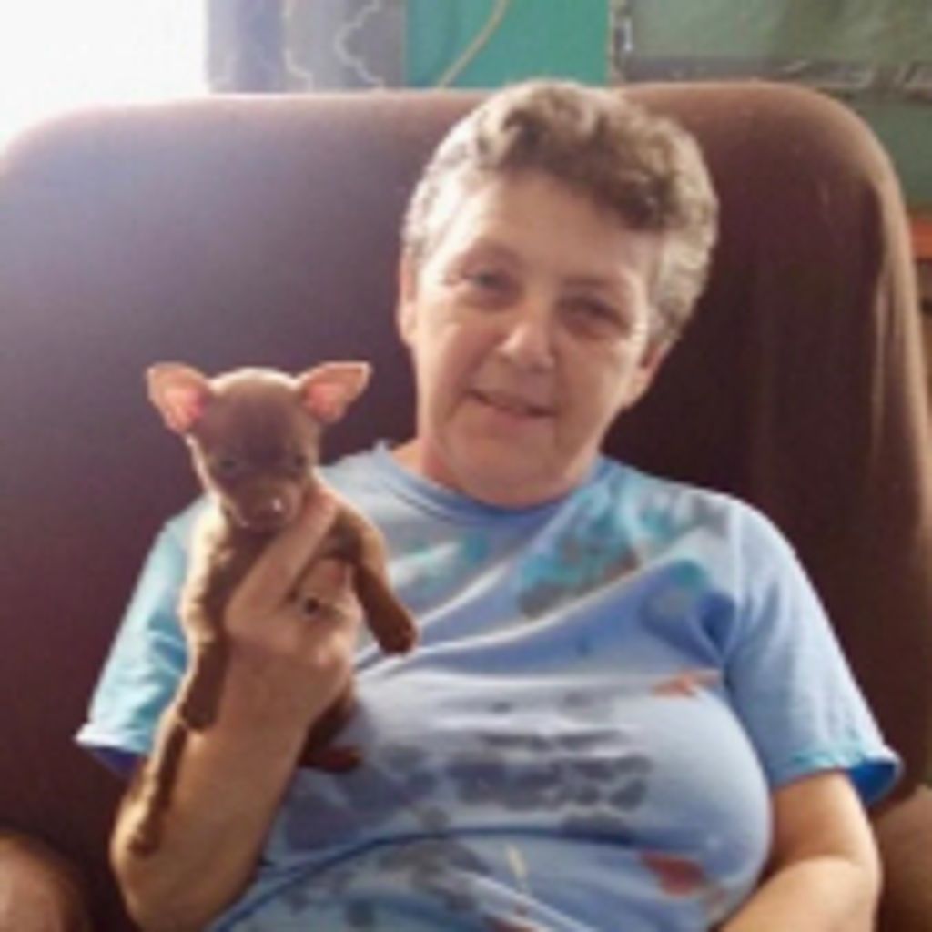 Diane Bowlin Beaman