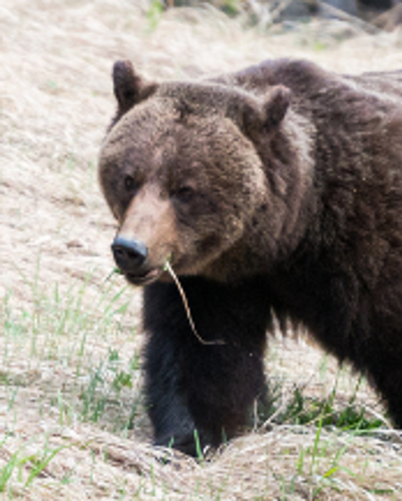 Dale Vernon Plumisto Profile Photo