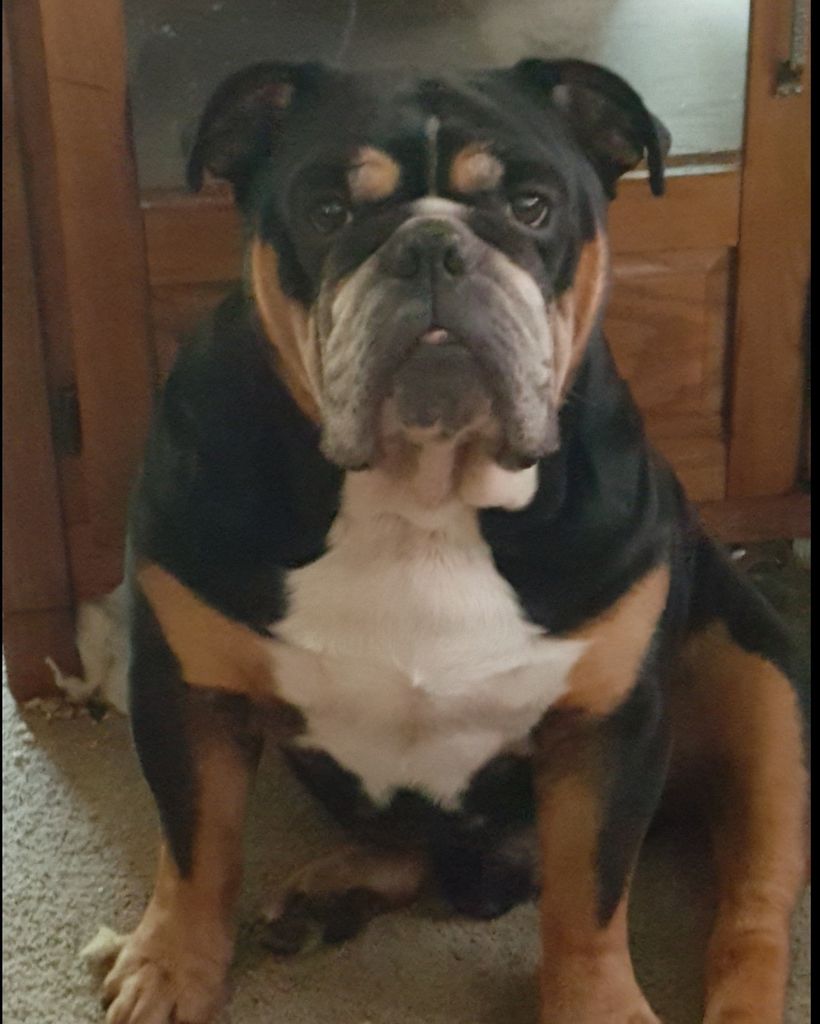 Django Profile Photo