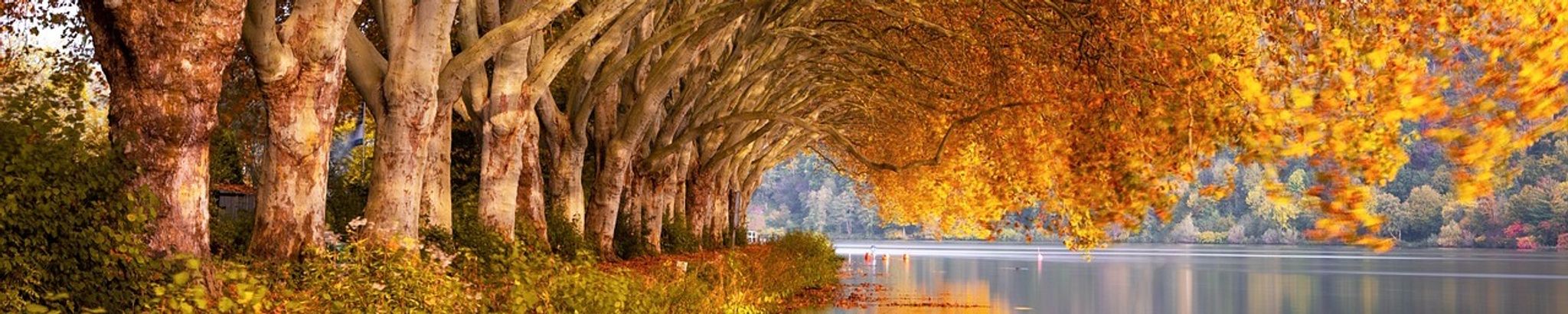 Cover for Laura D. Martin's Obituary