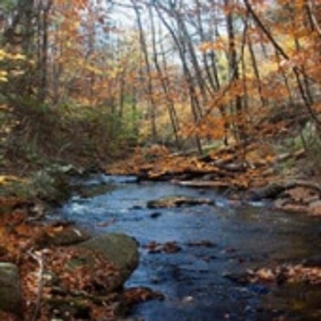 Michael Edward St. Ledger