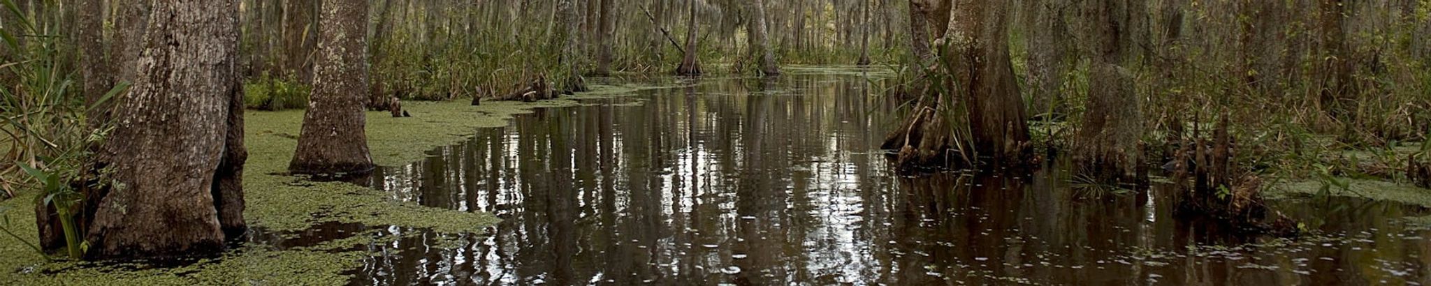Cover photo for Robert Porter Duncan, Jr.'s Obituary
